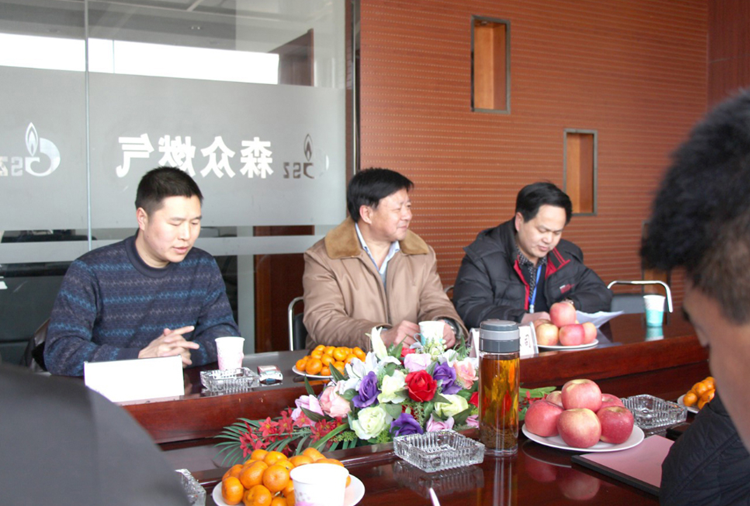 林口县政府与三亚许畅企业管理咨询有限公司燃气项目洽谈.png